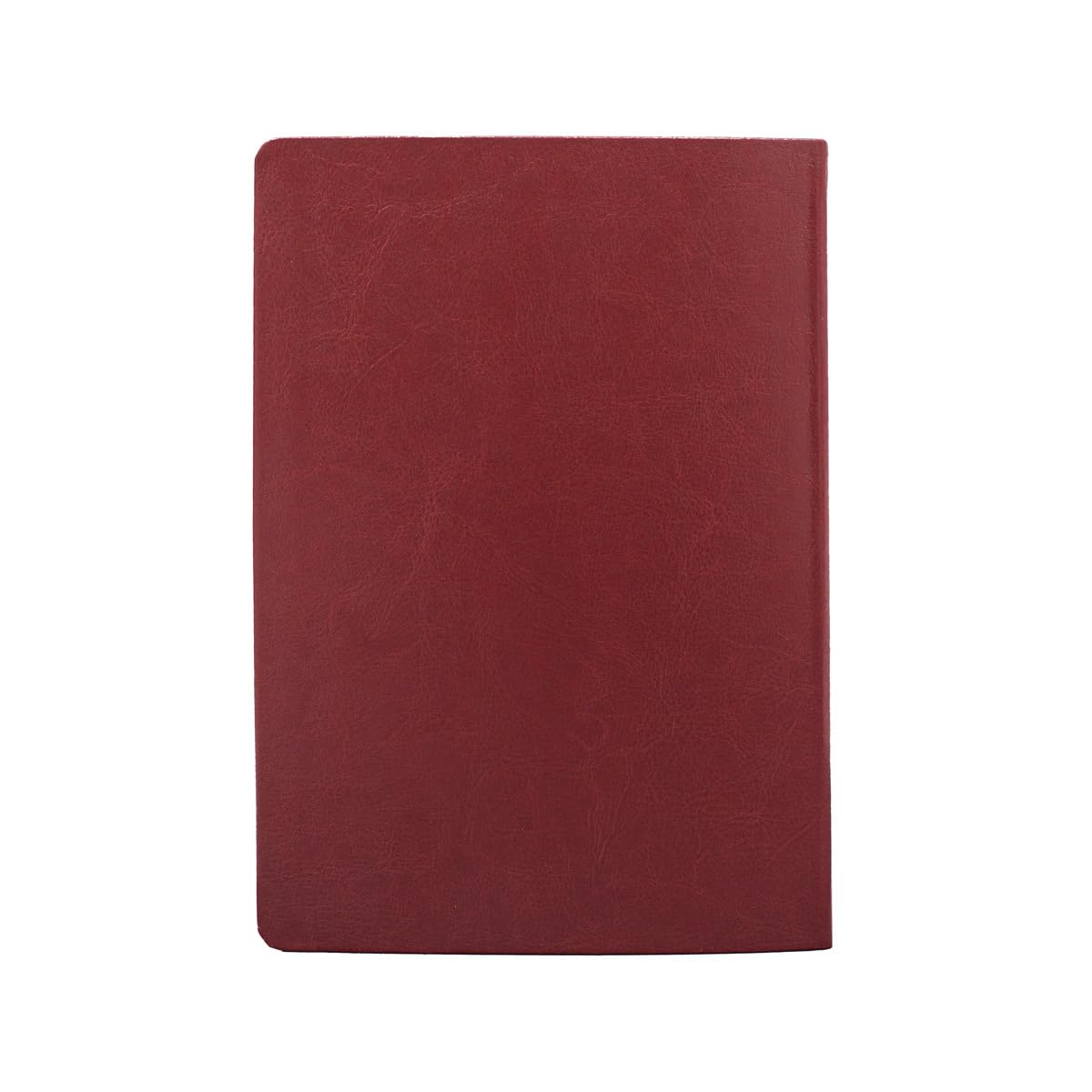 Biblia de Estudo Joyce Meyer nvi letra grande luxo vermelha