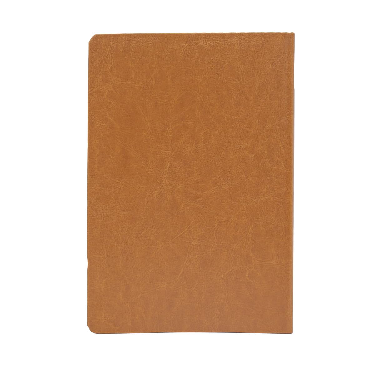 biblia de estudo joyce meyer nvi letra grande luxo mostarda