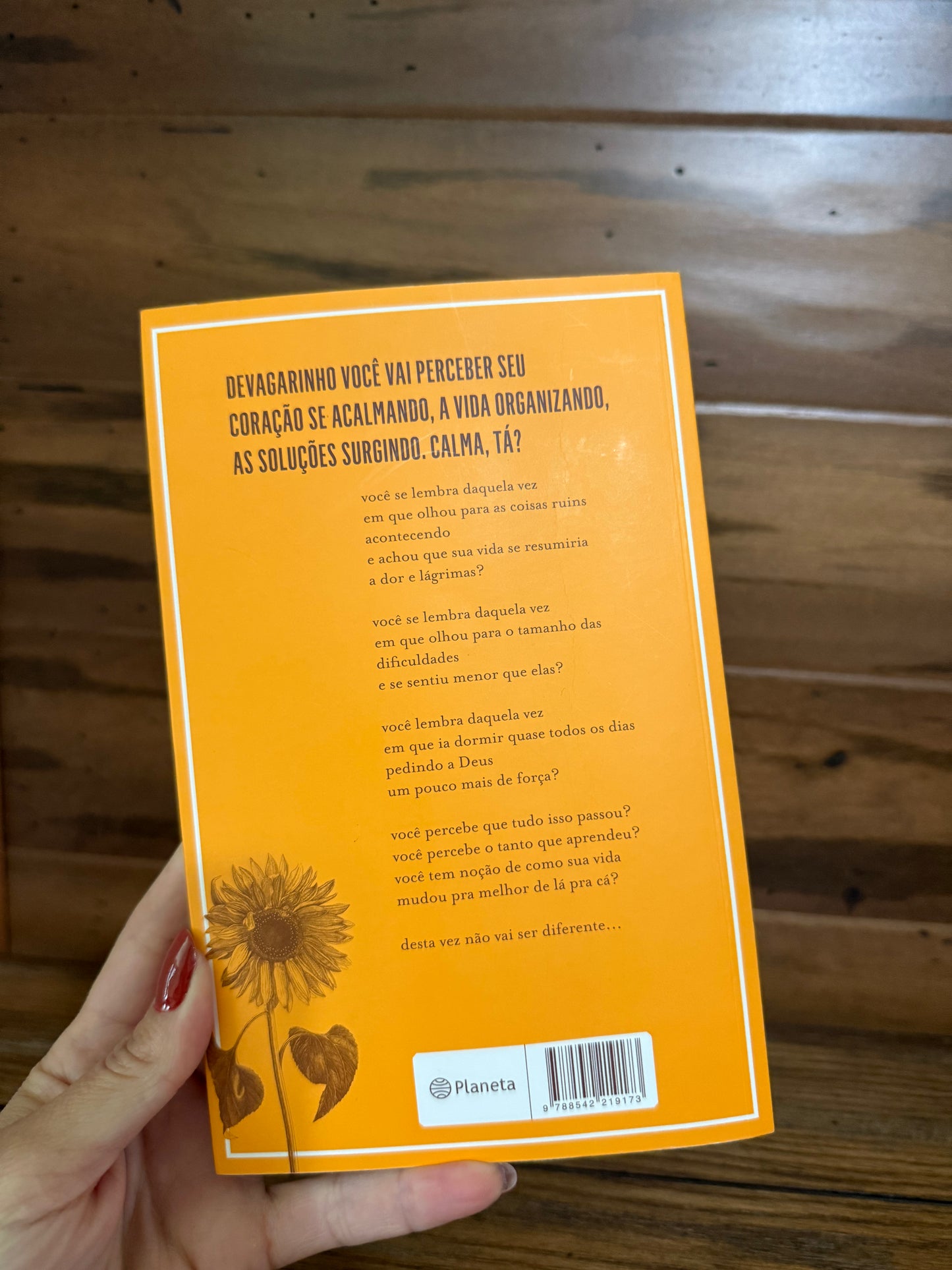 Pra Você Que Sente Demais (Portuguese Edition)