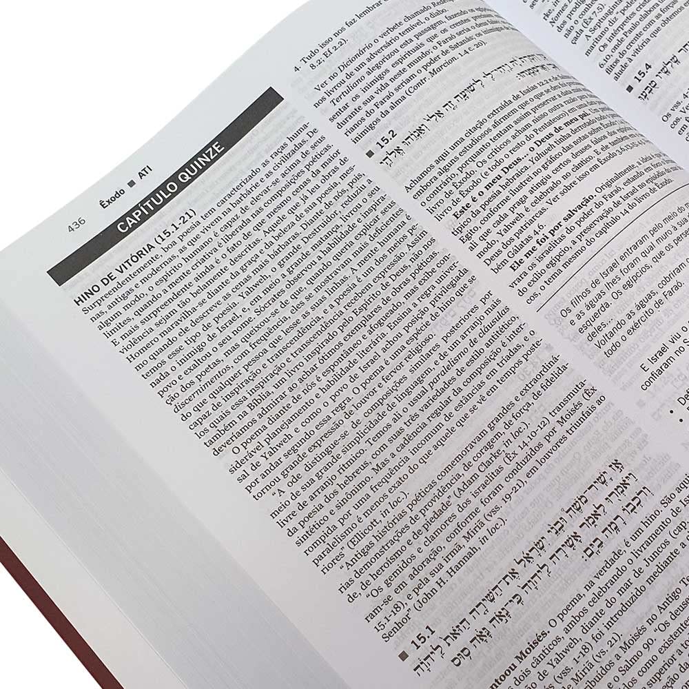 Antigo Testamento Interpretado – 5 Volumes