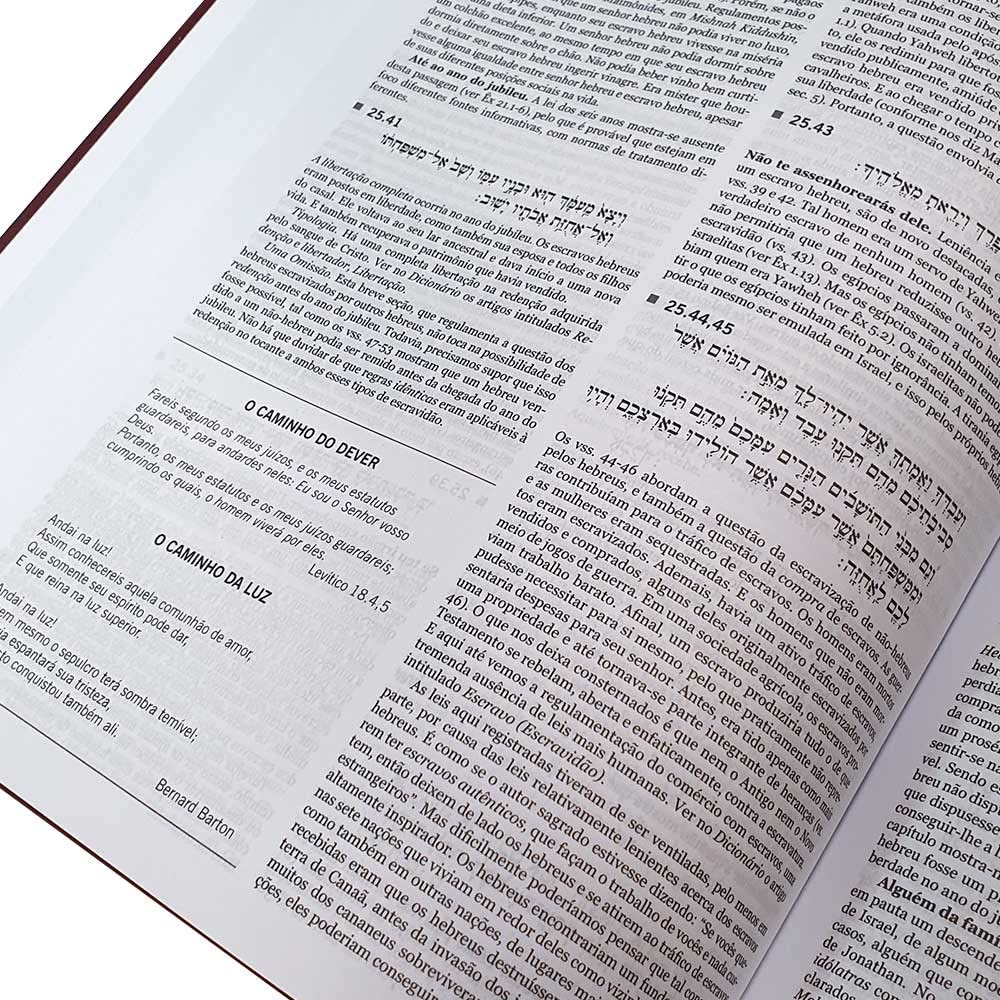 Antigo Testamento Interpretado – 5 Volumes