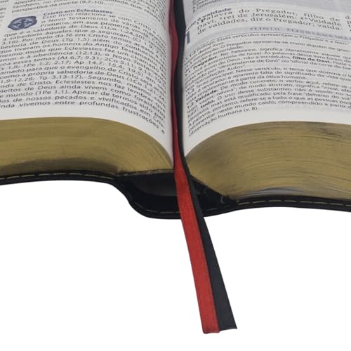 Biblia de Estudo de Genebra - Letra Grande