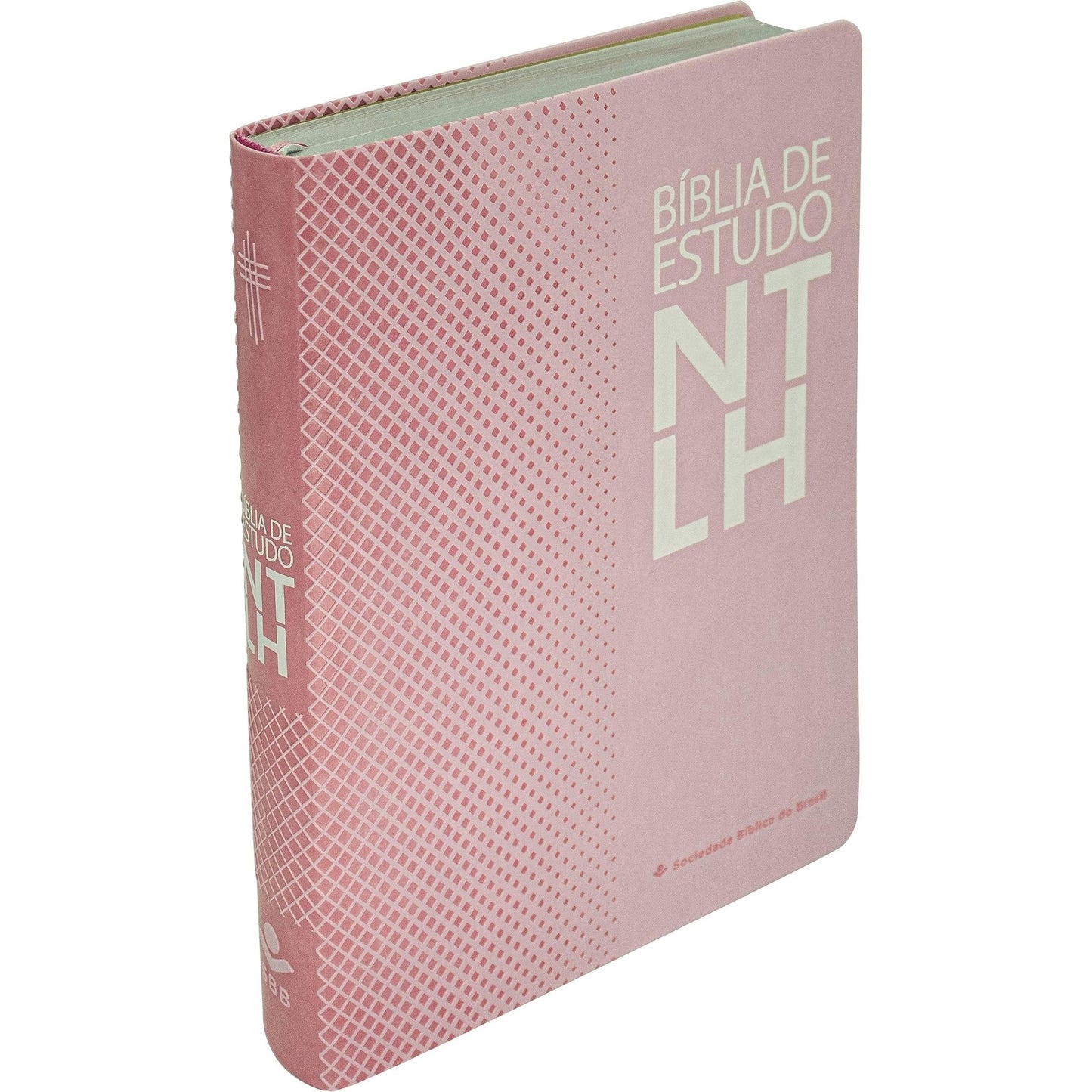 BÍBLIA DE ESTUDO NTLH NOVA TRADUÇÃO NA LINGUAGEM DE HOJE NTLH