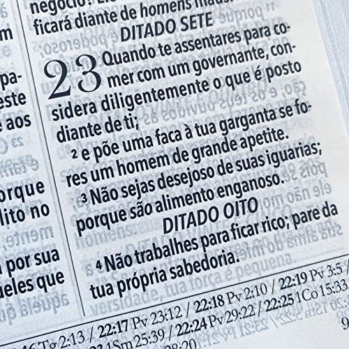 BÍBLIA KING JAMES FIEL 1611 COM ESTUDO HOLMAN ROSÊ