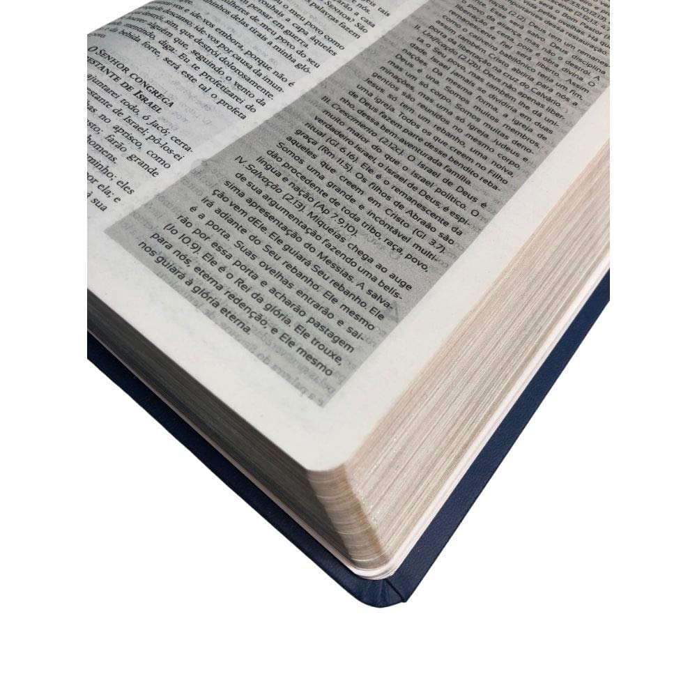 Biblia Pregação Expositiva