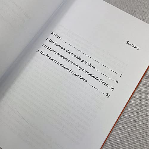 AS TESES DE SATANÁS: Descubra como a história de Jó pode ajudar a enfrentar os desafios de hoje (Portuguese Edition)