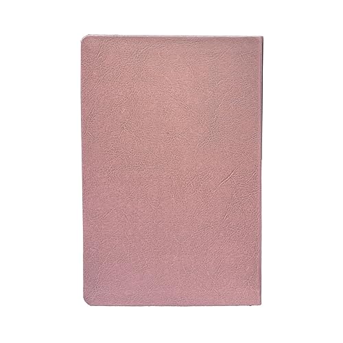 Bíblia de Estudo | Joyce Meyer | NVI | Letra Grande | Rosa - Portuguese Edition