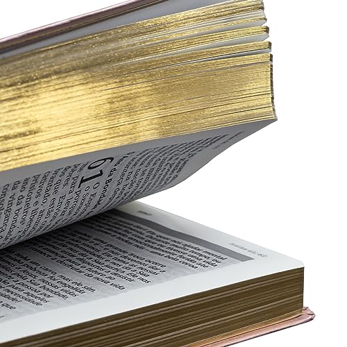 Bíblia de Estudo | Joyce Meyer | NVI | Letra Grande | Rosa - Portuguese Edition