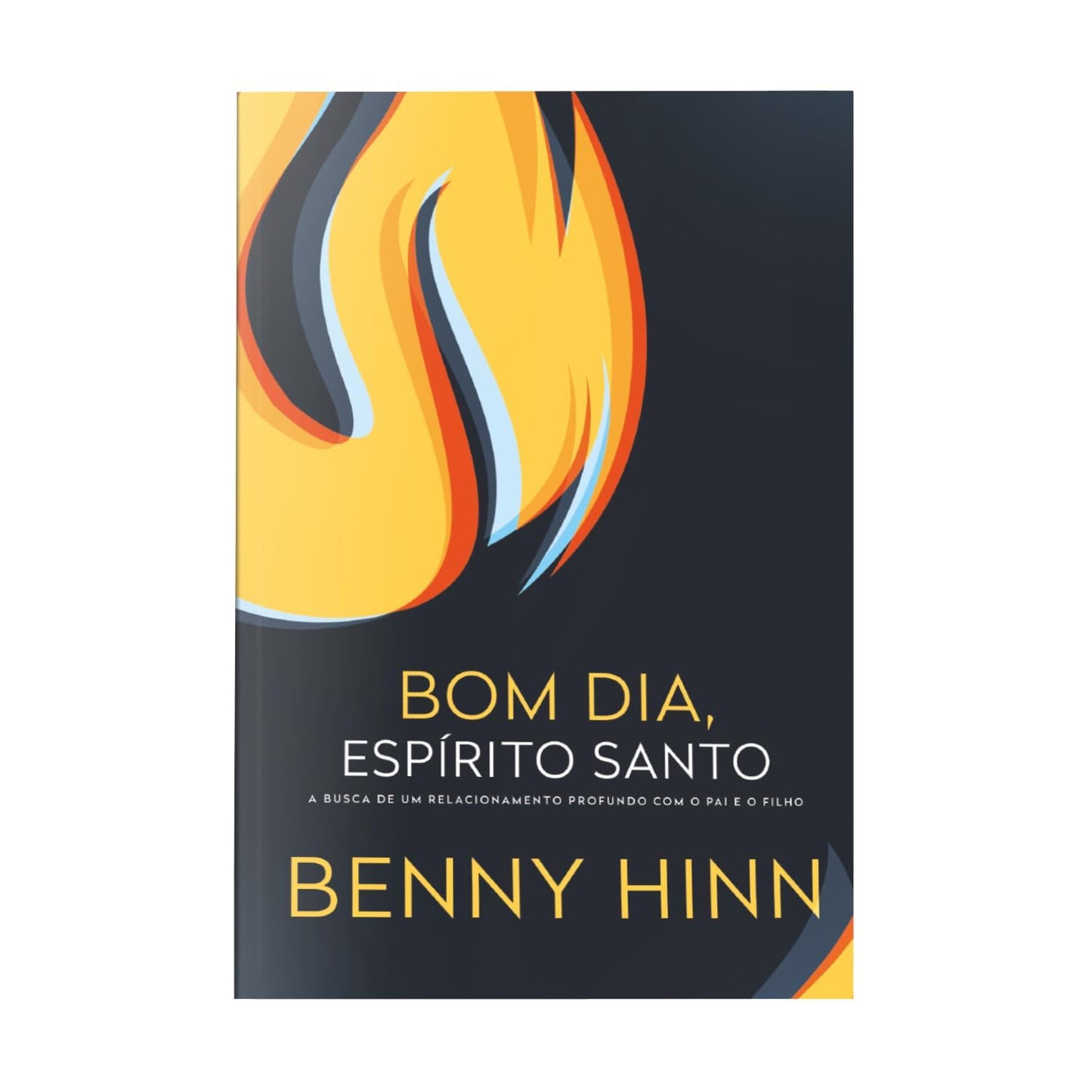 Bom dia, espírito santo: A busca de um relacionamento profundo com o pai e o filho - Em Portugues do Brasil