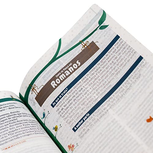 Bíblia Explicada para Crianças com ilustrações Smilinguido - Capa Dura - Azul - Em Portugues do Brasil - NTHL - Ajuda na Compreensao de Todos