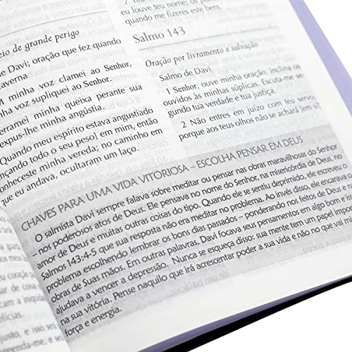 Biblia Campo de Batalha da mente