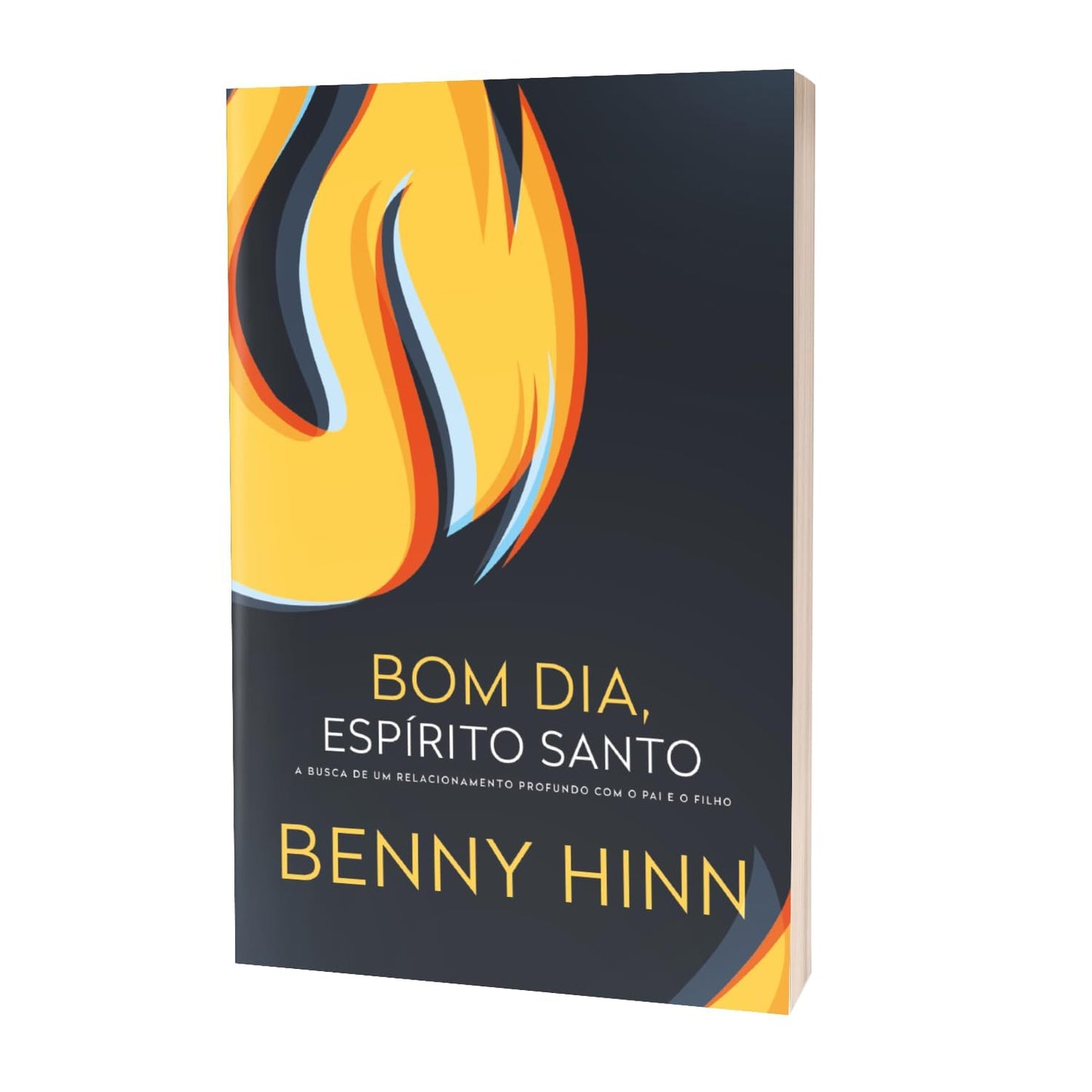 Bom dia, espírito santo: A busca de um relacionamento profundo com o pai e o filho - Em Portugues do Brasil