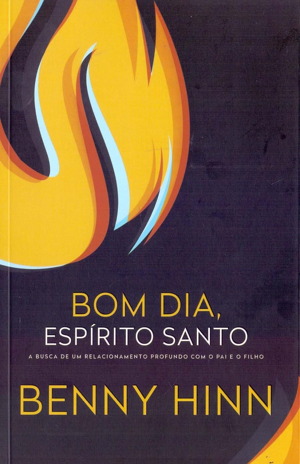 Bom dia, espírito santo: A busca de um relacionamento profundo com o pai e o filho - Em Portugues do Brasil