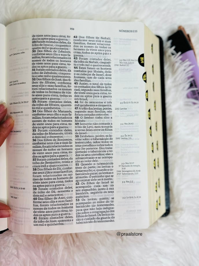 Biblia de Estudo Thompson | AEC | Letra Grande | Luxo | Preta Palavras de Jesus em vermelho - Concordância e Mapas