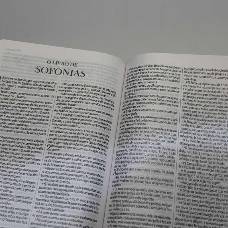 Bíblia King James 1611 - Capa semi luxo flores coloridas (Em Portugues do Brasil)