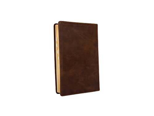 Bíblia NVI Leitura Perfeita