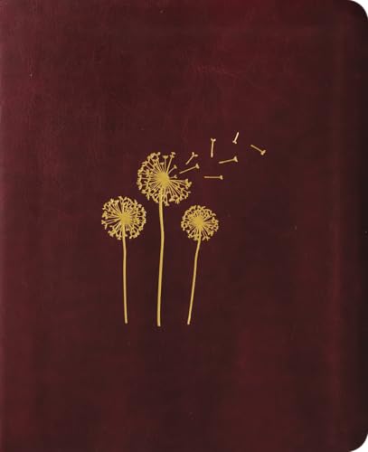 Bíblia Mulheres NAA - 1 Coluna - Sopro Divino.: Por Viviane Martinello