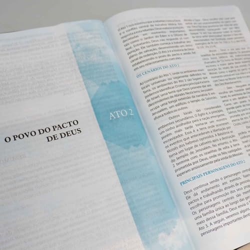 Bíblia Cronológica - Dia a Dia - Com Leituras Diarias - King James Fiel 1611 Portugues do Brasil
