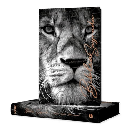 livro biblia nvi grande semi luxo promessas divinas capa