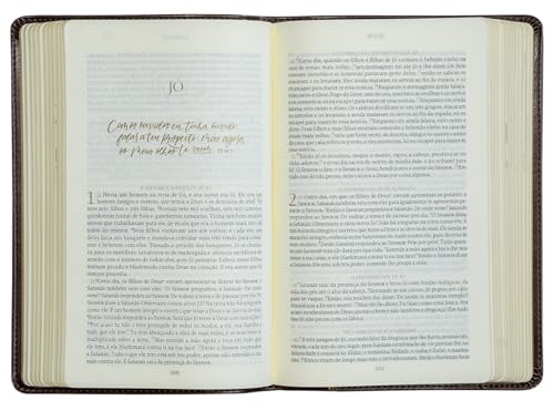 The Purpose Book: Bíblia Sagrada, A21, Capa Couro-soft marrom, Cruz