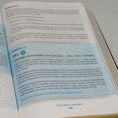 Bíblia Cronológica - Dia a Dia - Com Leituras Diarias - King James Fiel 1611 Portugues do Brasil