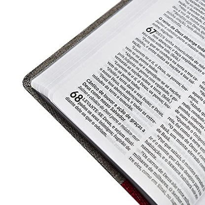 biblia sagrada acf tecido vermelho e cinza leitura