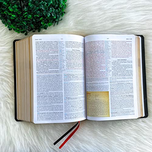 Biblia de Estudo King James 1611 (Estudo Holman) [imitation_leather] BVBOOKS [Jan 01, 2018] - BLUE