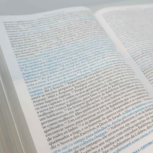 Bíblia Cronológica - Dia a Dia - Com Leituras Diarias - King James Fiel 1611 Portugues do Brasil