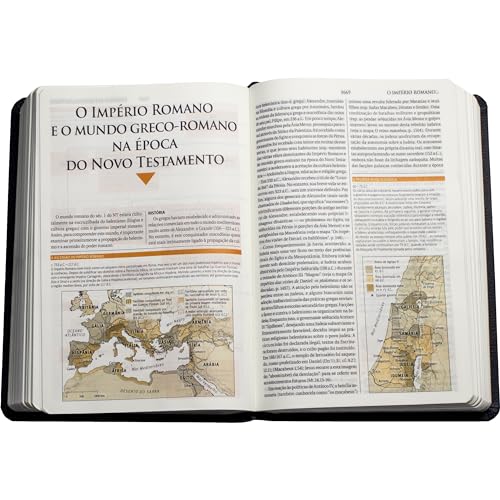 Biblia de Estudo NAA