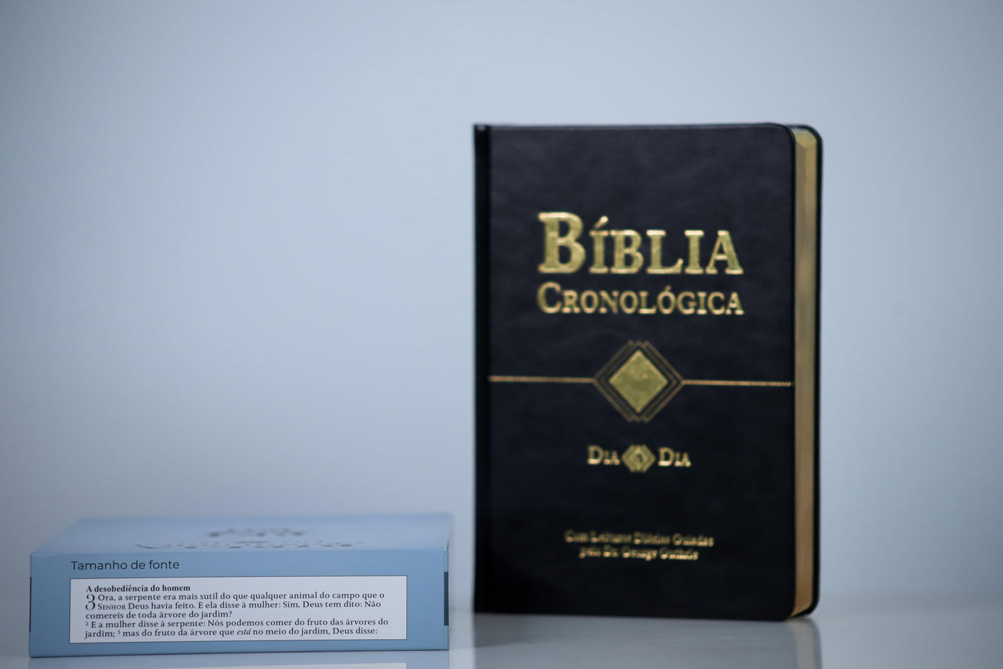 Bíblia Cronológica - Dia a Dia - Com Leituras Diarias - King James Fiel 1611 Portugues do Brasil