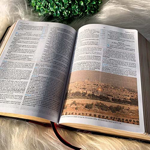 Biblia de Estudo King James 1611 (Estudo Holman) [imitation_leather] BVBOOKS [Jan 01, 2018] - BLUE