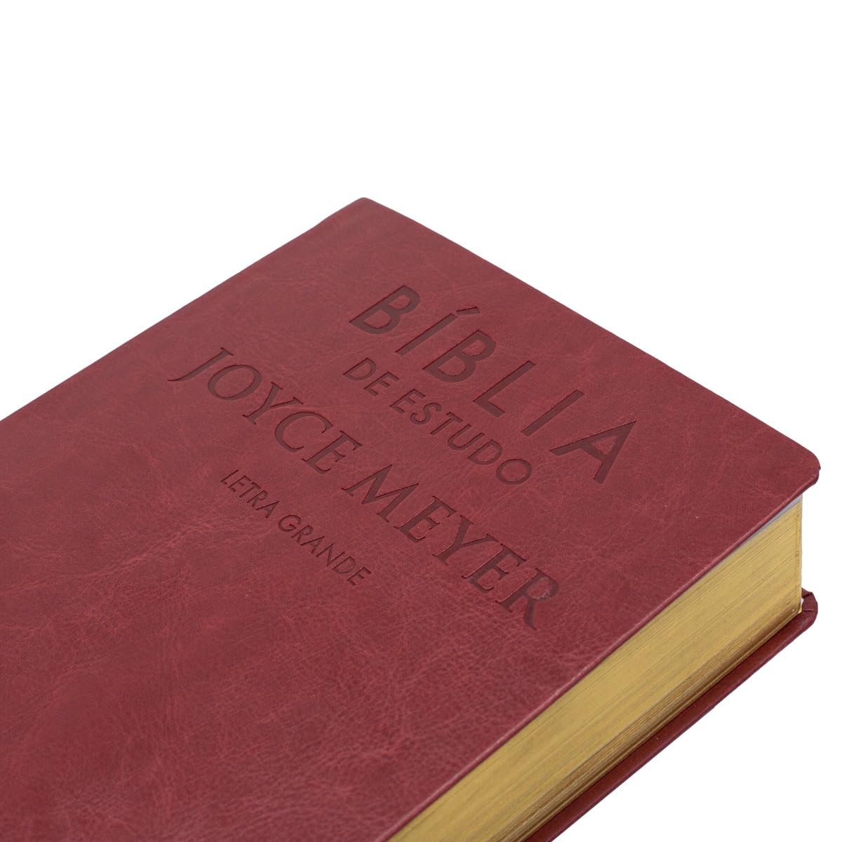 Biblia de Estudo Joyce Meyer nvi letra grande luxo vermelha