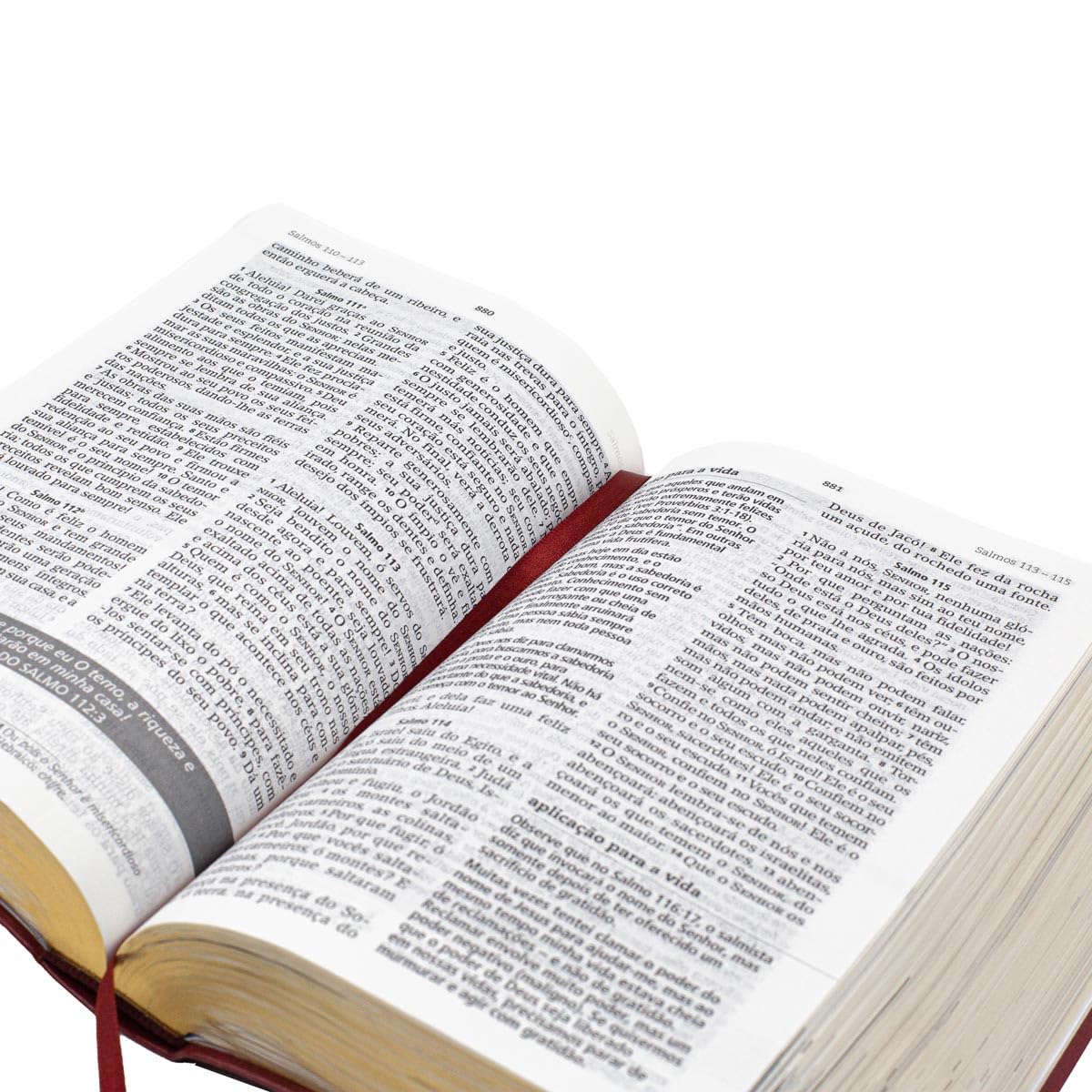 Biblia de Estudo Joyce Meyer nvi letra grande luxo vermelha