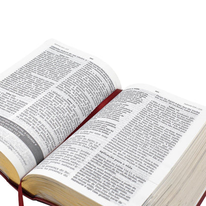 Biblia de Estudo Joyce Meyer nvi letra grande luxo vermelha