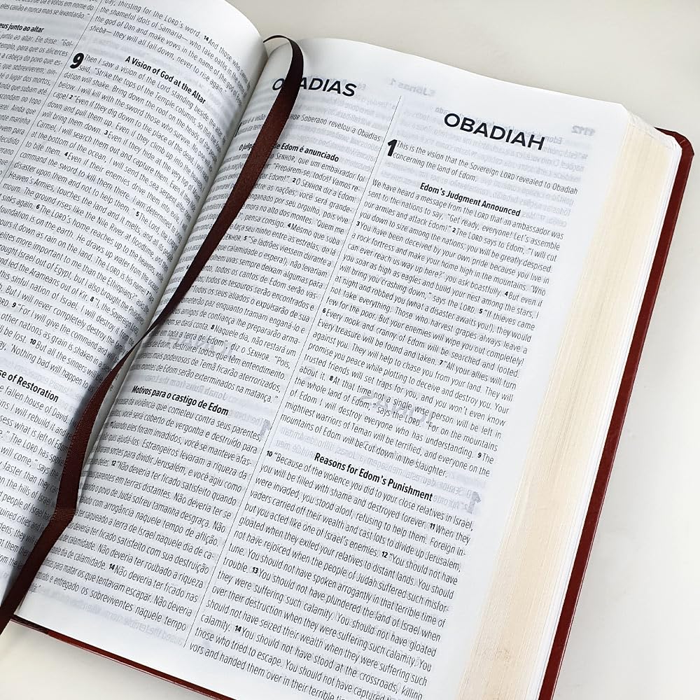 biblia bilingue portugues e ingles nvt letra grande