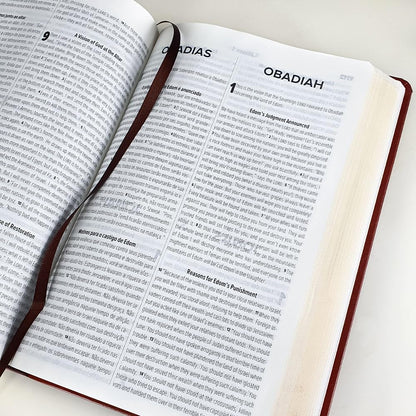 biblia bilingue portugues e ingles nvt letra grande