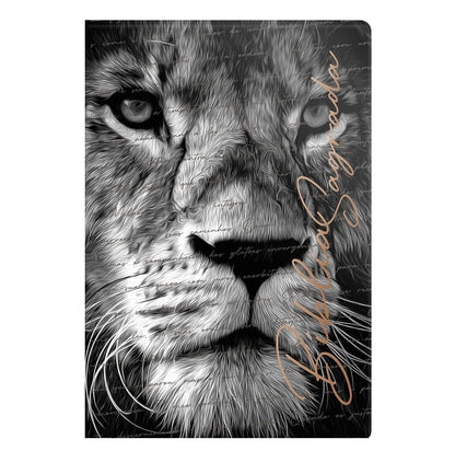 livro biblia nvi grande semi luxo promessas divinas capa