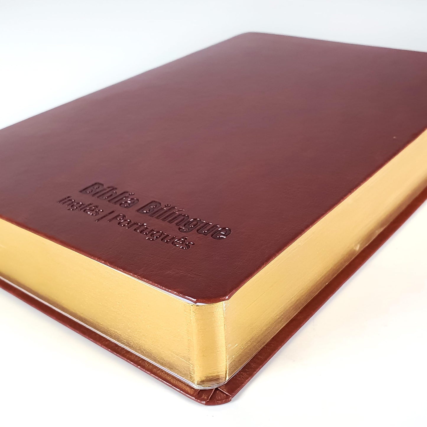 biblia bilingue portugues e ingles nvt letra grande