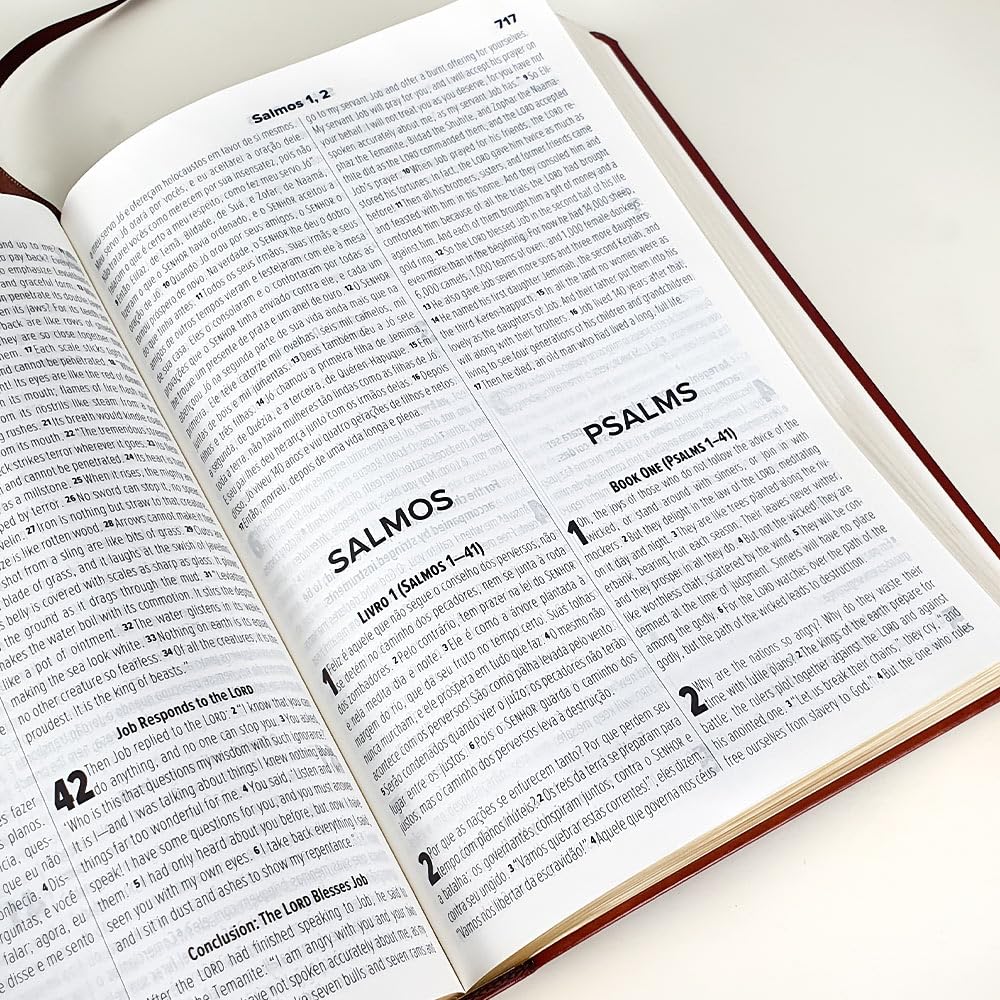 biblia bilingue portugues e ingles nvt letra grande