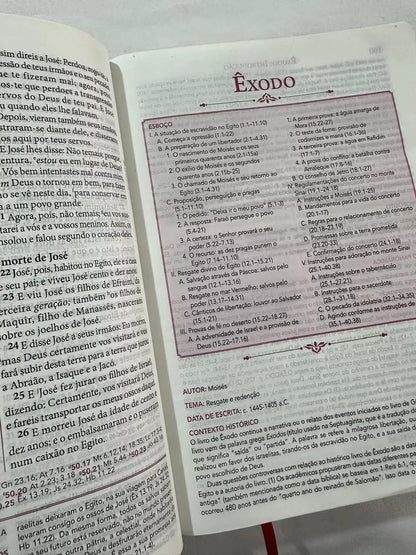 Biblia de Estudo Pentecostal Grande Luxo Preta Couro Legitimo (Em Portugues do Brasil)