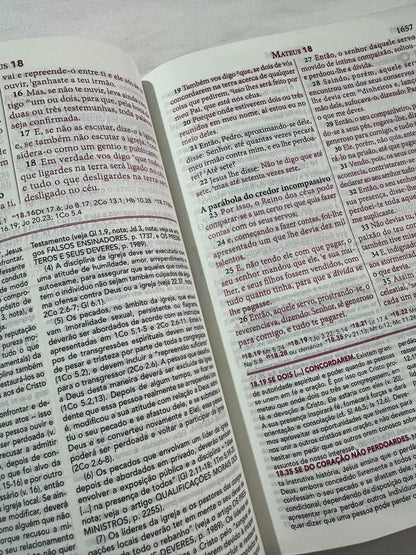 Biblia de Estudo Pentecostal Grande Luxo Preta Couro Legitimo (Em Portugues do Brasil)