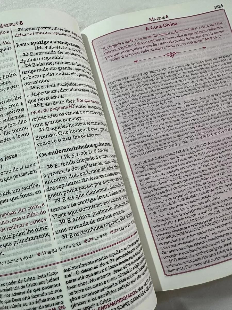 Biblia de Estudo Pentecostal Grande Luxo Preta Couro Legitimo (Em Portugues do Brasil)