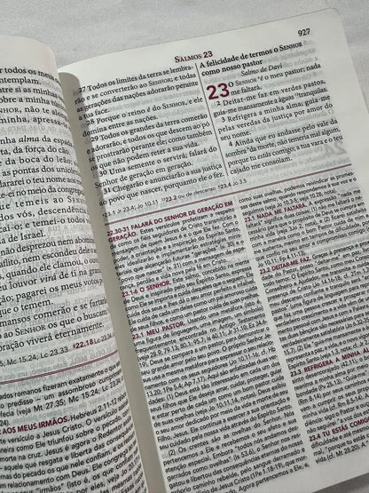 Biblia de Estudo Pentecostal Grande Luxo Preta Couro Legitimo (Em Portugues do Brasil)