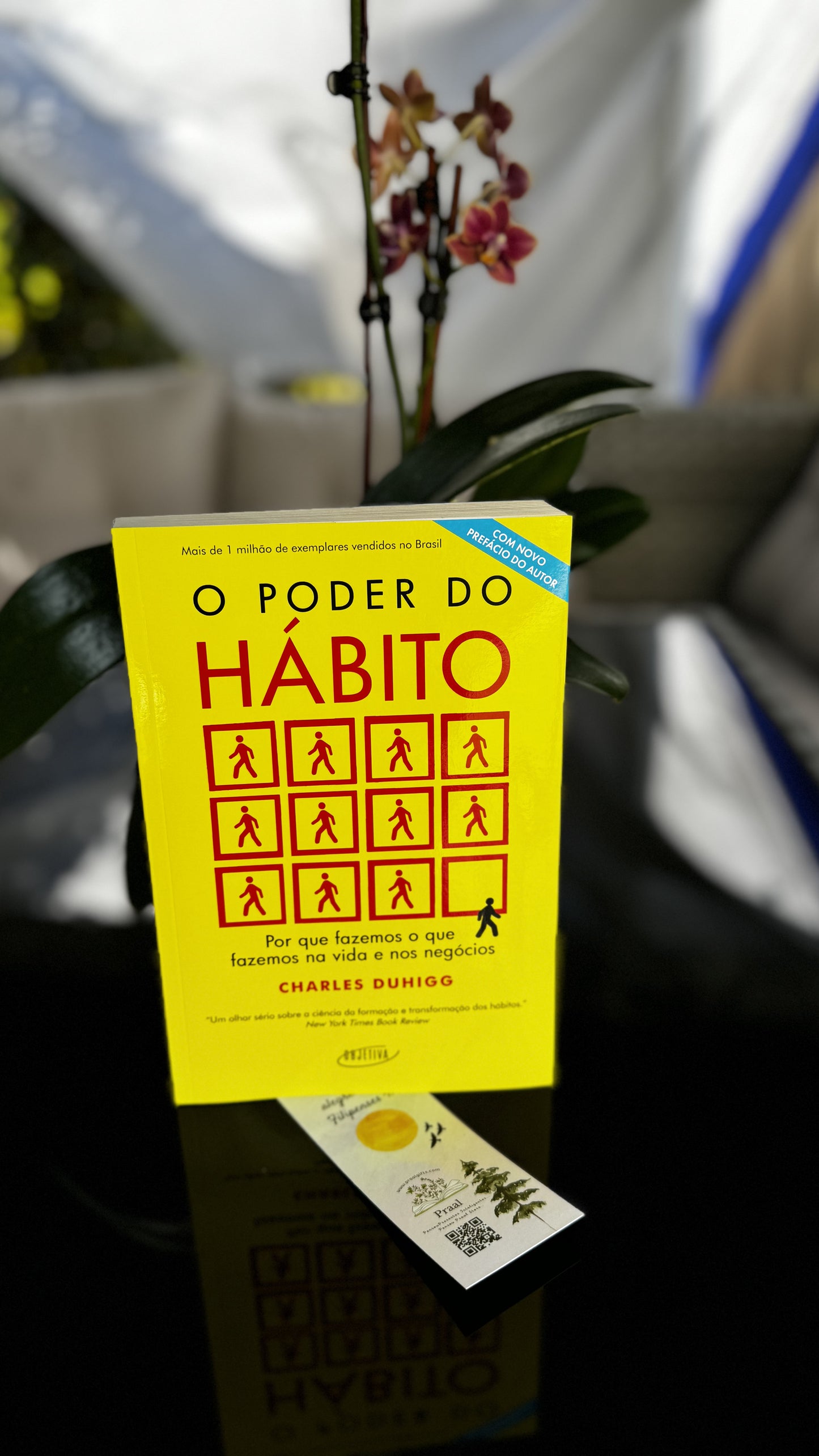 Poder do Habito (Em Portugues do Brasil)