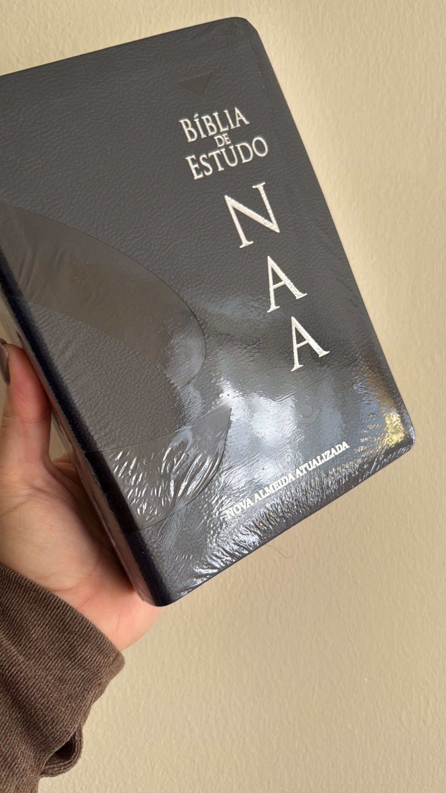 NAA Bíblia de Estudo Nova Almeida Atualizada (Português - Portuguese)