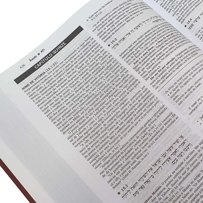 Antigo Testamento Interpretado – 5 Volumes