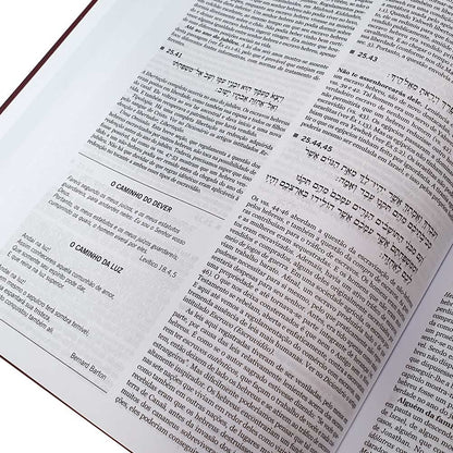 Antigo Testamento Interpretado – 5 Volumes