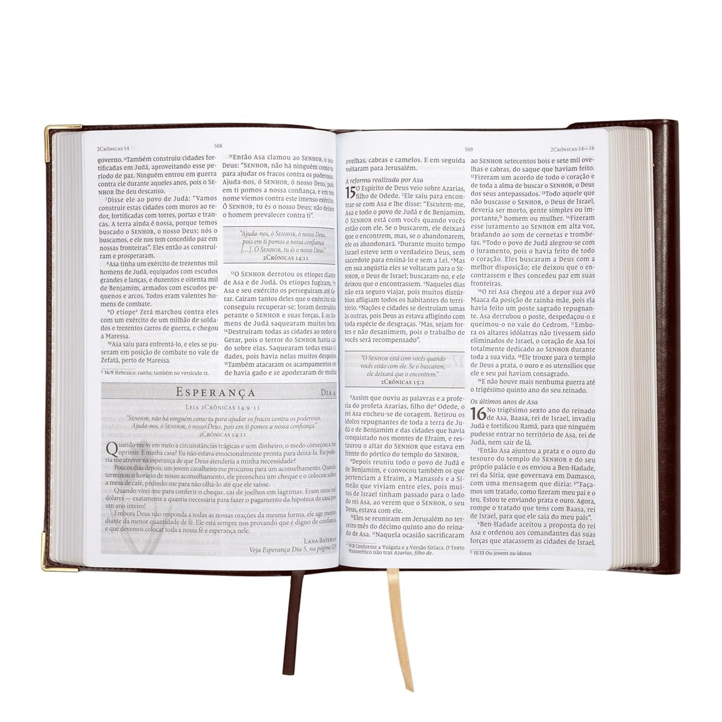 Bíblia da Mulher de Fé, NVI, Letra Grande, Couro-Soft Vinho com Fechamento Carteira e Marcador de Páginas