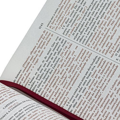 Bíblia de Estudo do Expositor