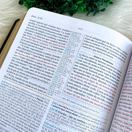 Biblia de Estudo King James 1611 (Estudo Holman) [imitation_leather] BVBOOKS [Jan 01, 2018] - BLUE